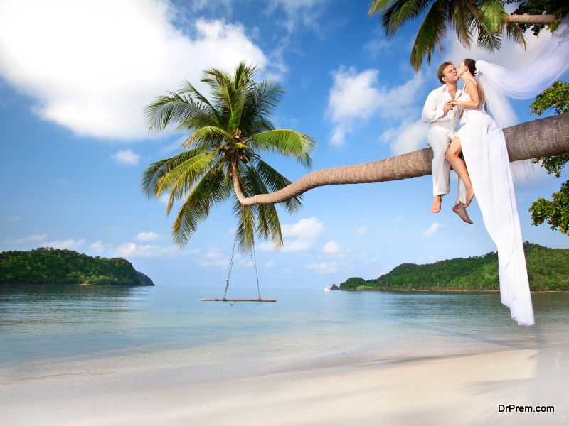 Vieques the Perfect Wedding Destination