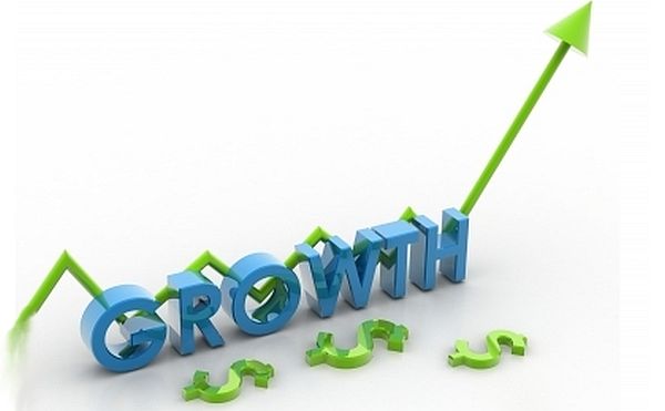 business growth