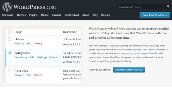 wordpress