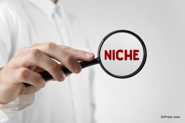 Ideas for developing your very own niche in the marketplace - Business ...