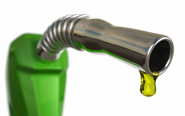 Making Biofuel out of Waste