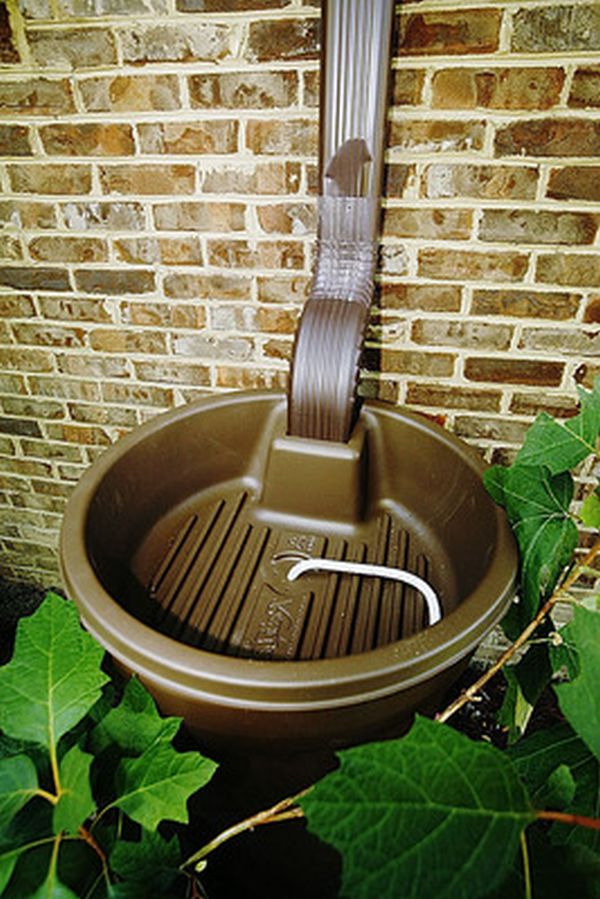 Rain Barrel