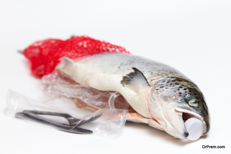 Fish Eating Plastic