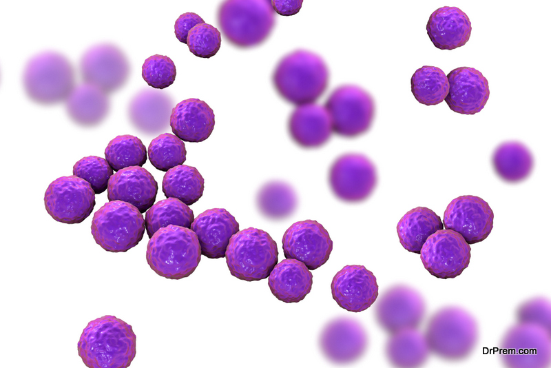 microorganisms-in-our-environment