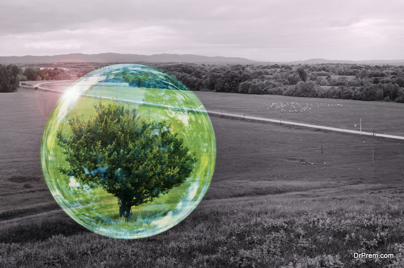 Environmental Impact Bonds