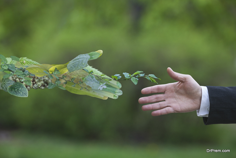 career options for environmental science majors