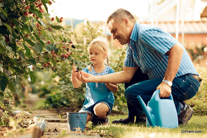 Edible Landscaping
