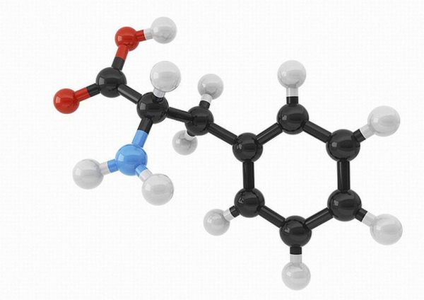 amino_acid - Dr Prem