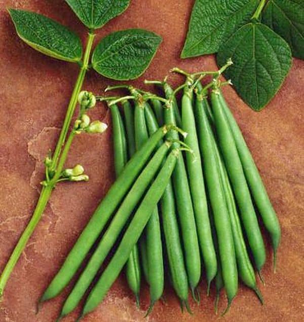 health_benefits_of_beans_Dr