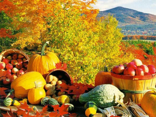 fall_season_fruits - Dr Prem
