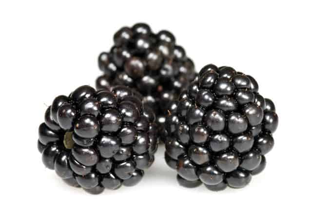 Group of blackberries