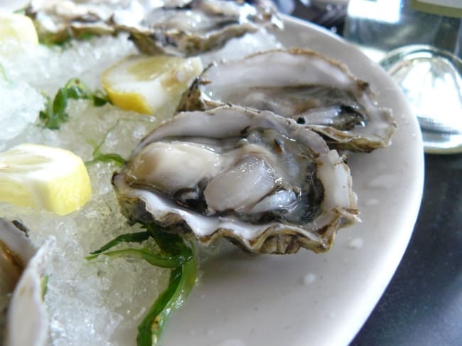 oysters zinc food