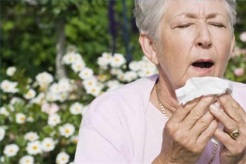 natural_wheezing_treatment_through_herbs