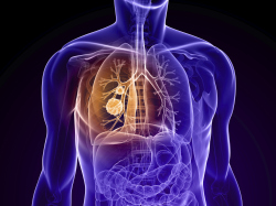 5 Reasons You Should Aware About Lung Cancer