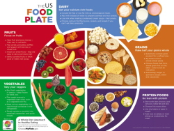 My food guide plate