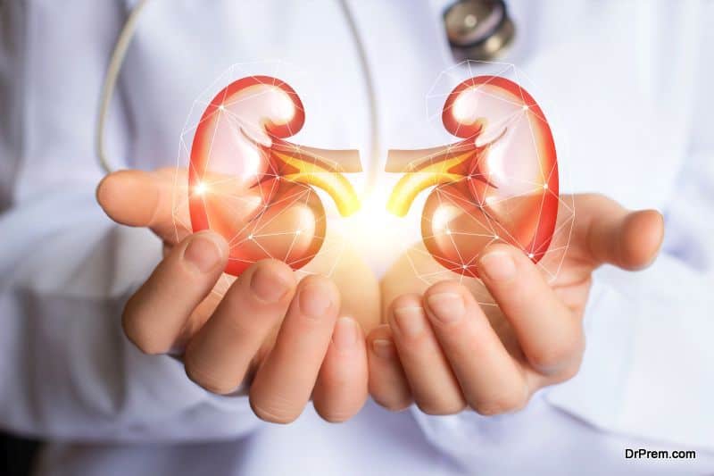 Kidney Health