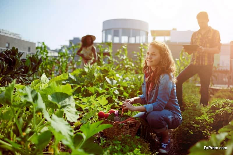 Grow your own vegetables