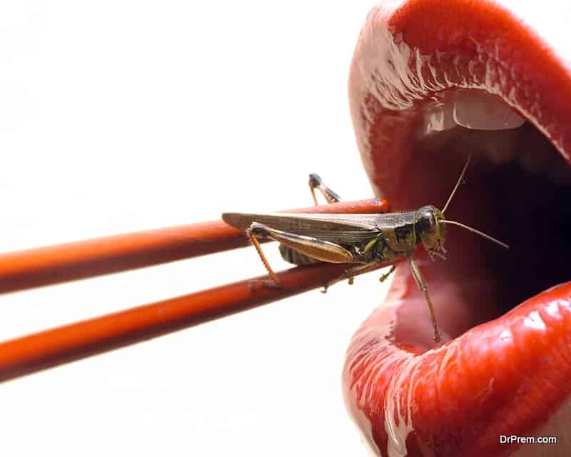 Snack on the insects