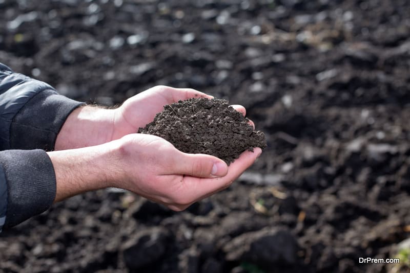 New test to predict nitrogen levels in soil