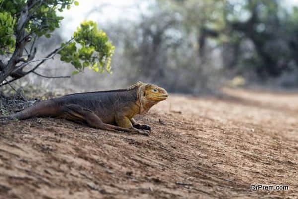 Tourism in the Galapagos Islands
