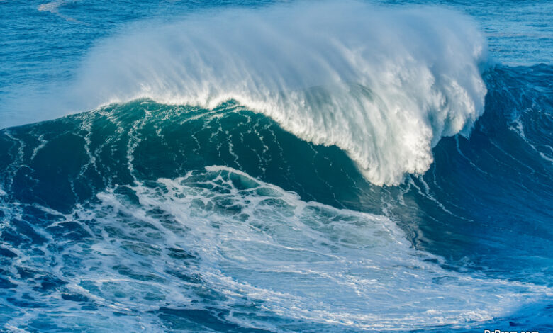 Nazare Canyon explored with Robot sub - Dr Prem's Life Improving Guide