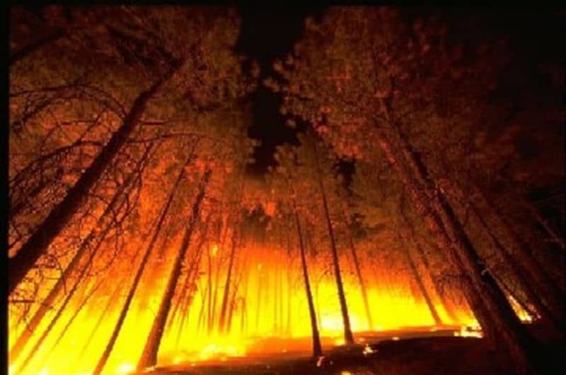 Paraguay Declares Fire Emergency