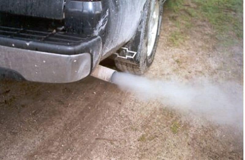 Diesel exhausts on the kill