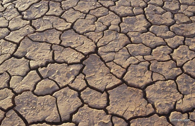 Drought-hit Georgia declares emergency