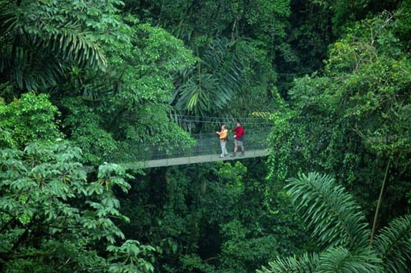Costa Rican ecosystem