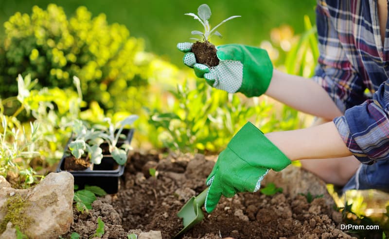Essential tools that every gardener should have