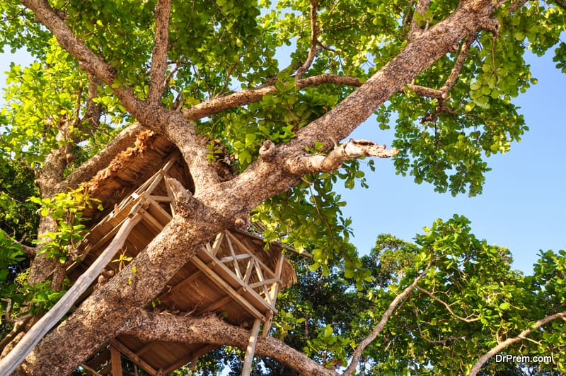 Your guide to setting up a designer tree house