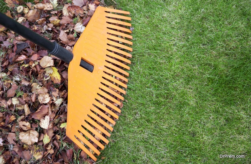 Simple Yet Smart Ways to Remove Fall Leaves From Your Garden