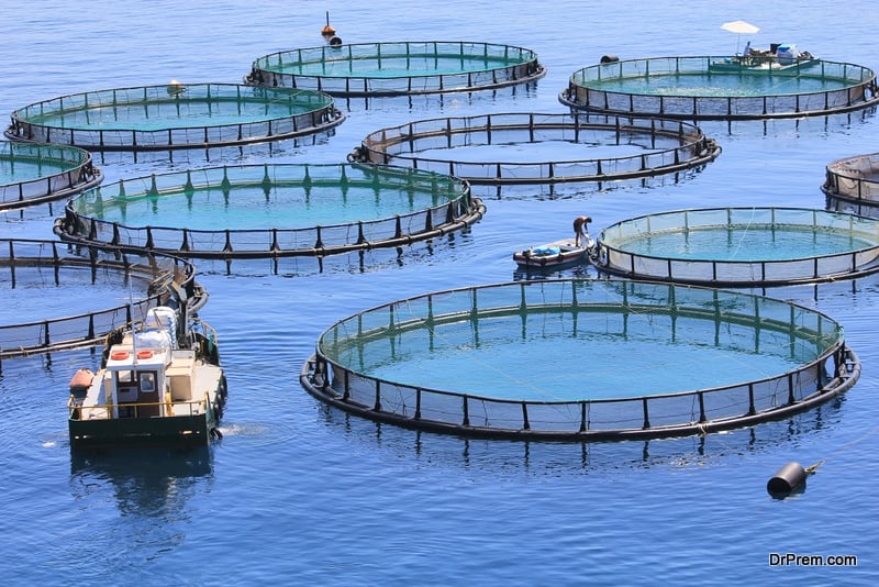 practicing-sustainable-aquaculture