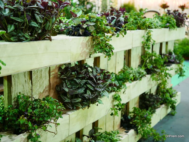 vertical space in your garden