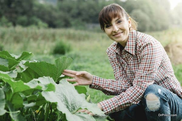 Organic farming is the winner for sustainability