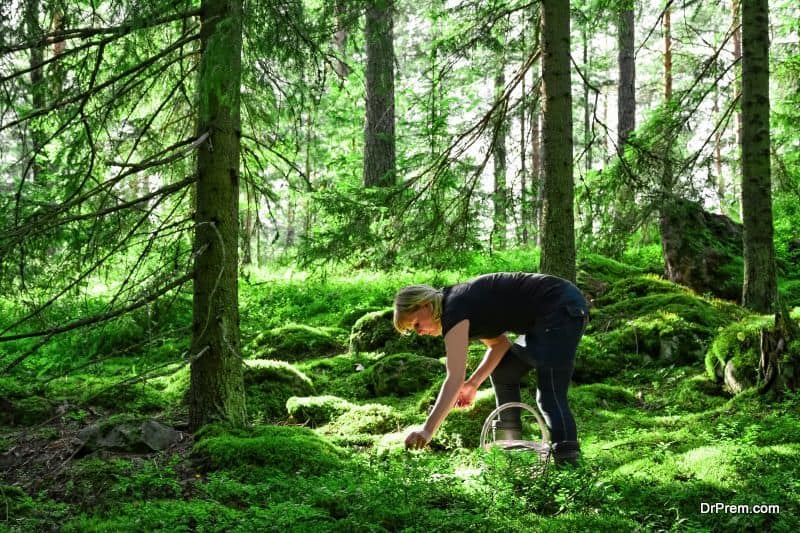 Finland-Green-Country