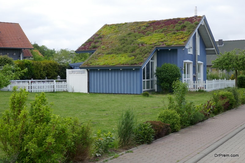 Green roofs and Cooling roofs