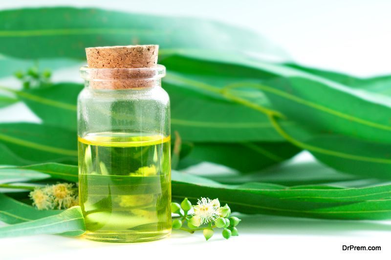 eucalyptus oil