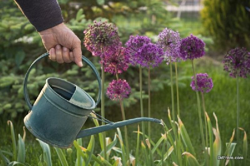 Garden-watering