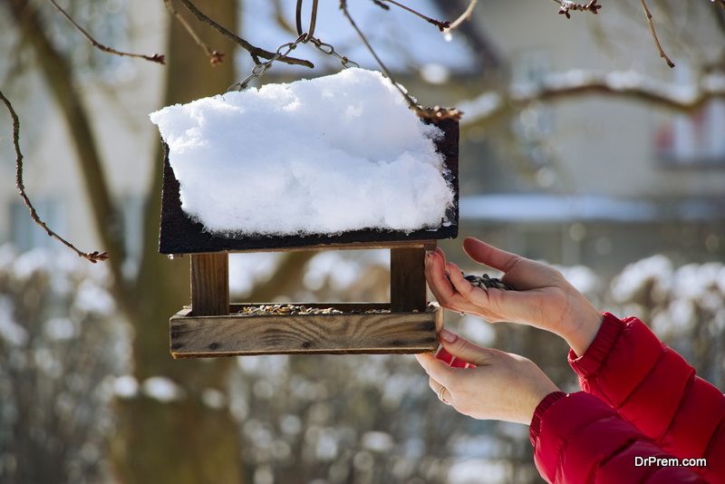 bird feeder