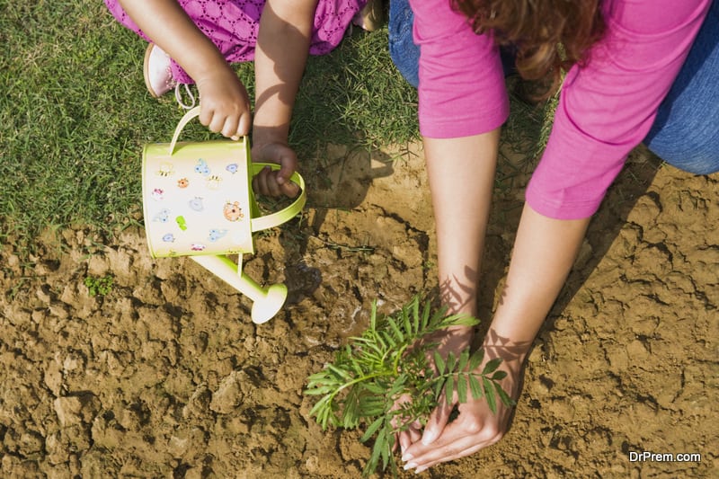 Reforestation