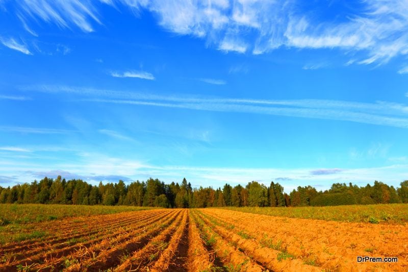 Crop rotation 