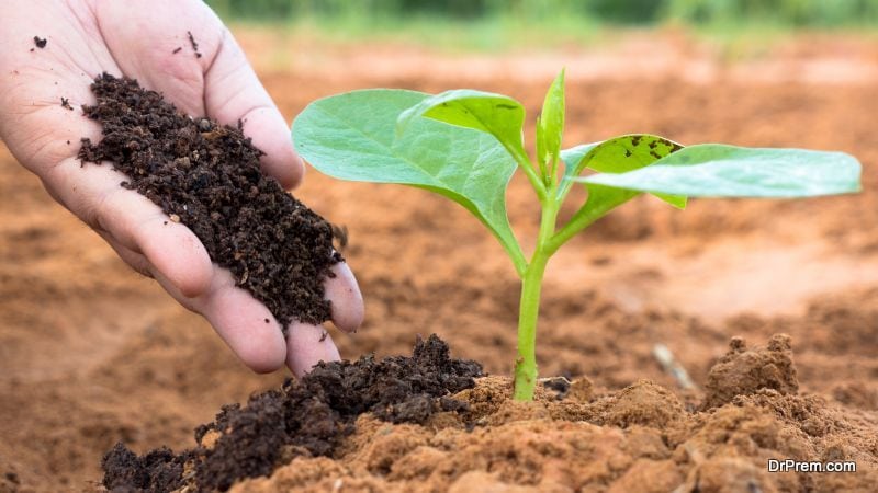 Using manure