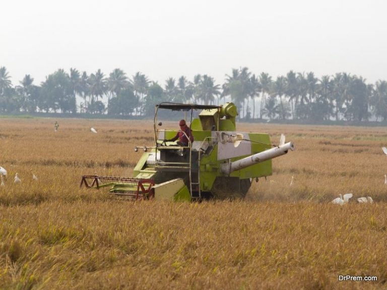 A guide on how to do environmentally friendly farming