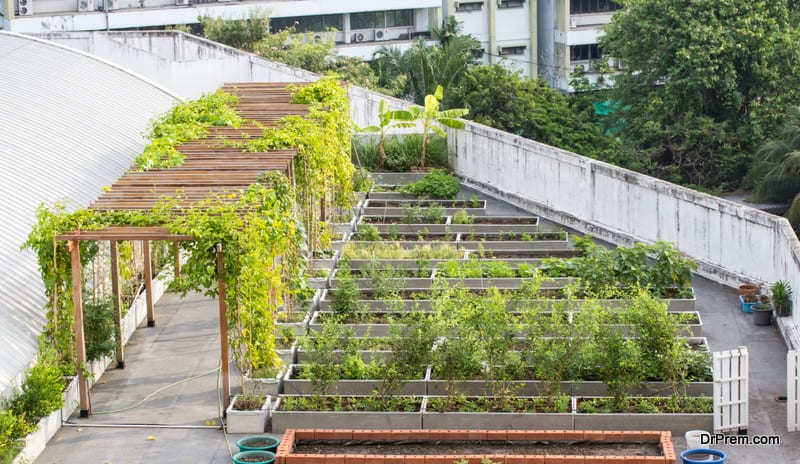 Guide to designing your own rooftop garden