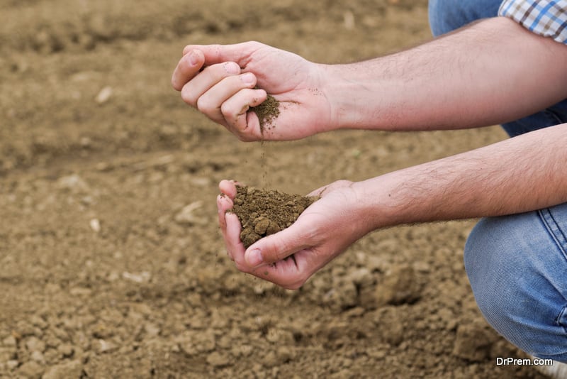 Start-a-Vegetable-Garden