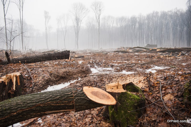 reduction in populations of woody plants