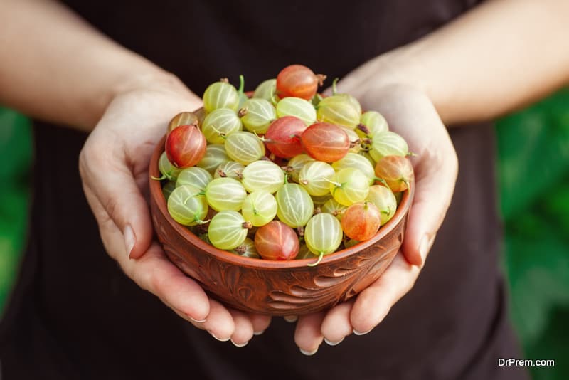 Drying and canning your produce