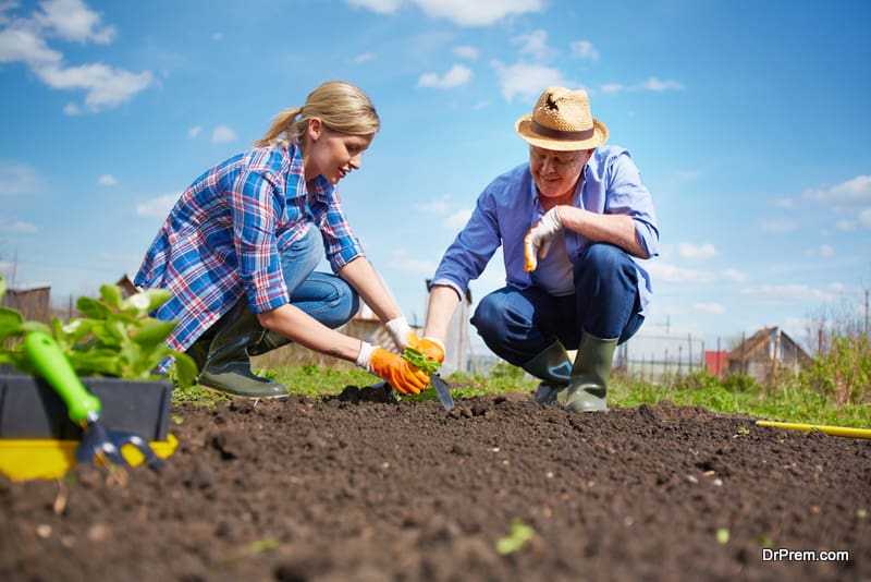 Use the right kind of seeds