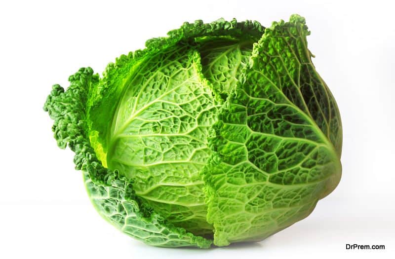 finely cut cabbage in brine